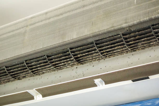 Best Emergency Air Duct Cleaning  in Oakley, CA